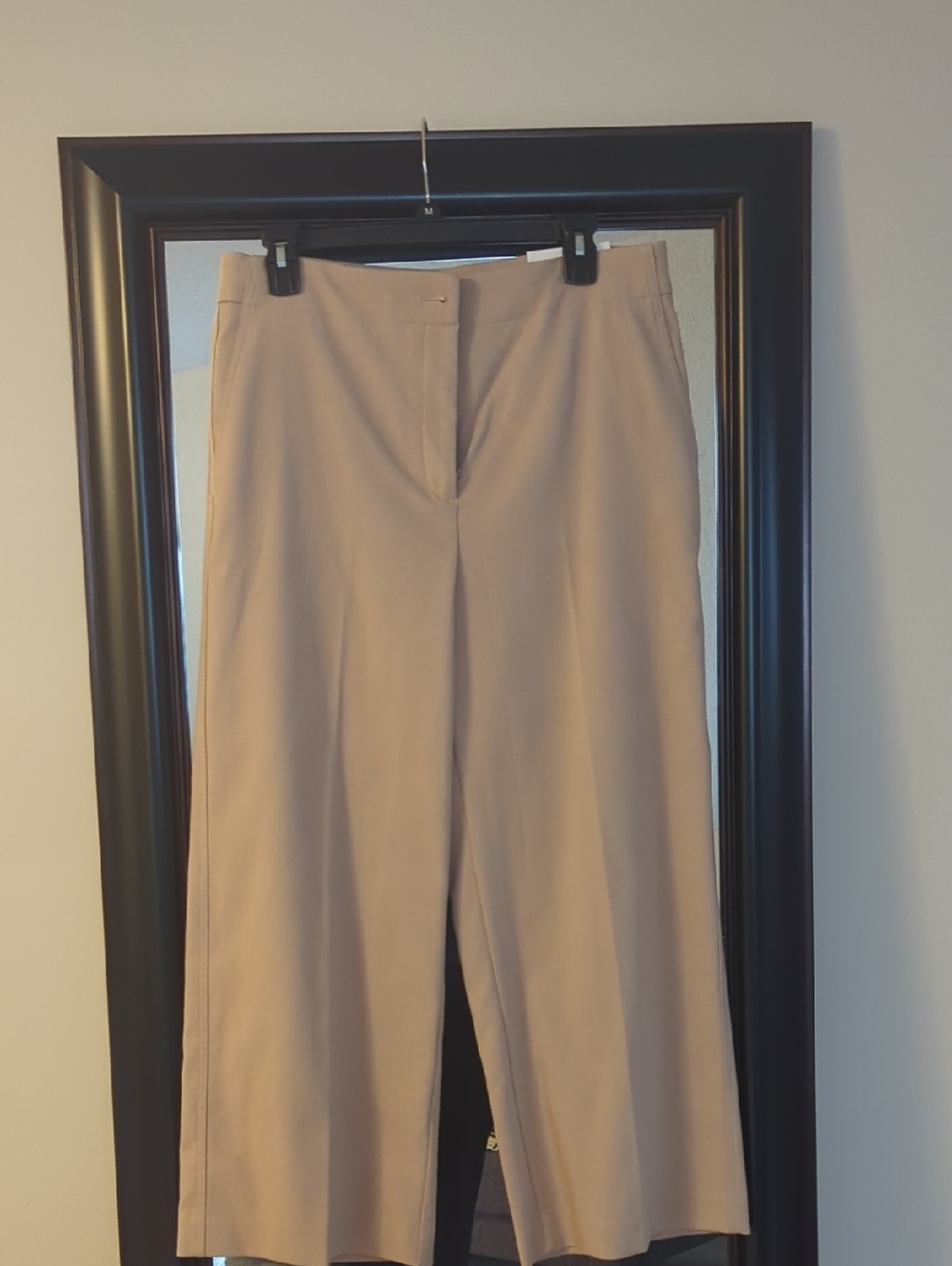 Ann Taylor Kate Cropped Wide-Leg Pants in Beige NWT